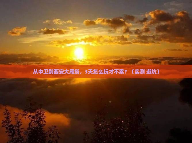 中卫去西安大雁塔个人游