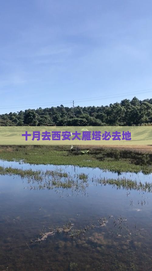 十月去西安大雁塔必去地