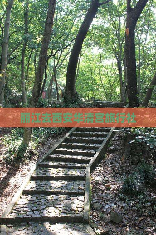 丽江去西安华清宫旅行社