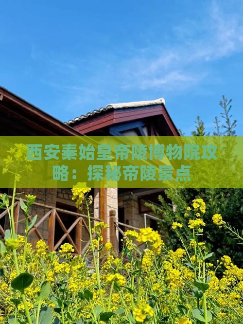 韶关去西安秦始皇帝陵博物院景点