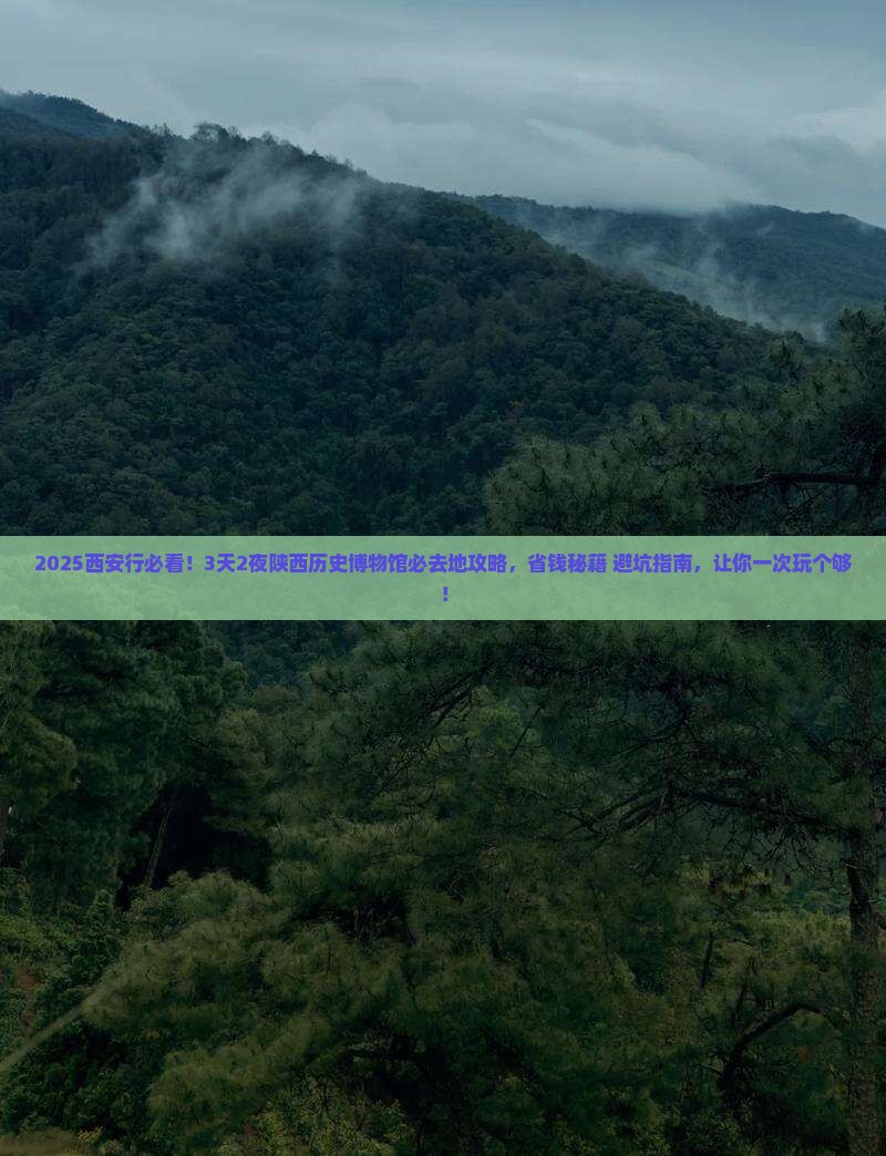 大连去西安陕西历史博物馆必去地