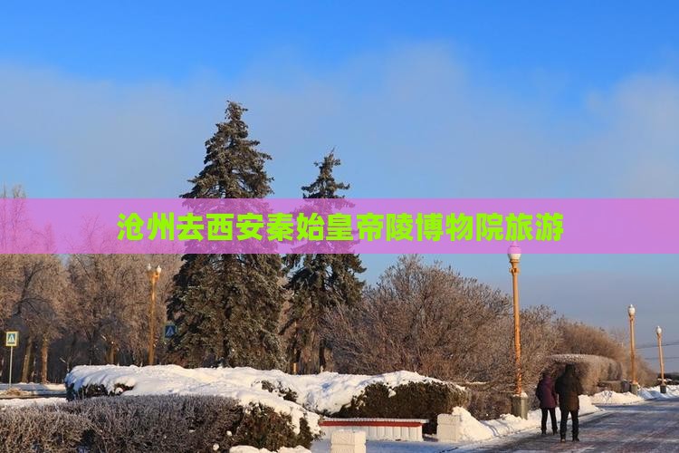 沧州去西安秦始皇帝陵博物院旅游