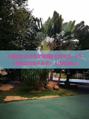 宜宾去西安陕西历史博物馆个人游