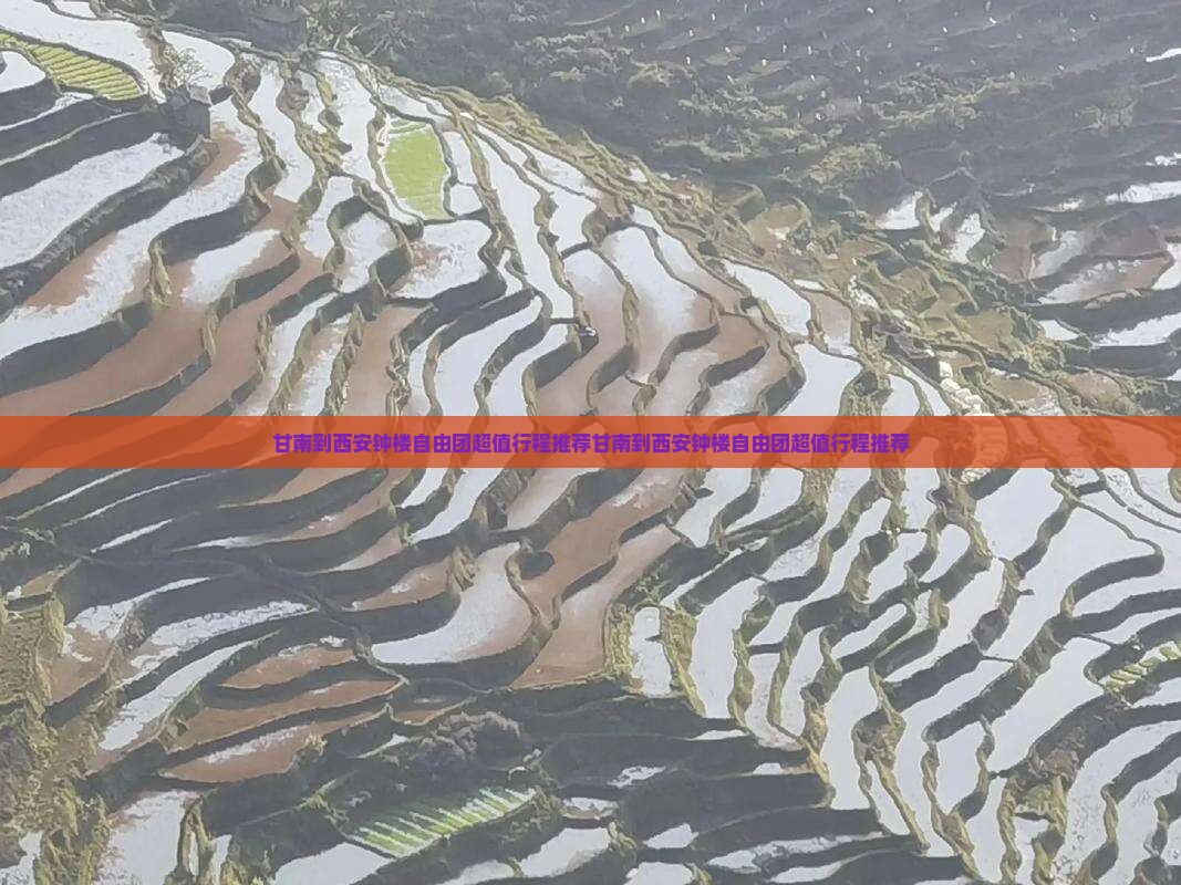 甘南到西安钟楼自由团