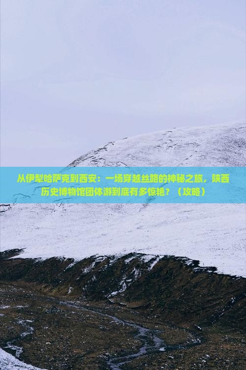 伊犁哈萨克到西安陕西历史博物馆团体旅游