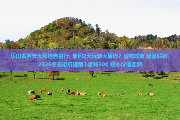 乐山去西安大雁塔自由行