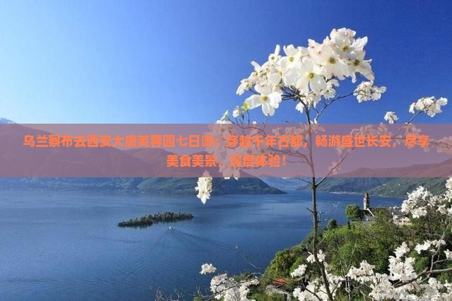 乌兰察布去西安大唐芙蓉园七日游