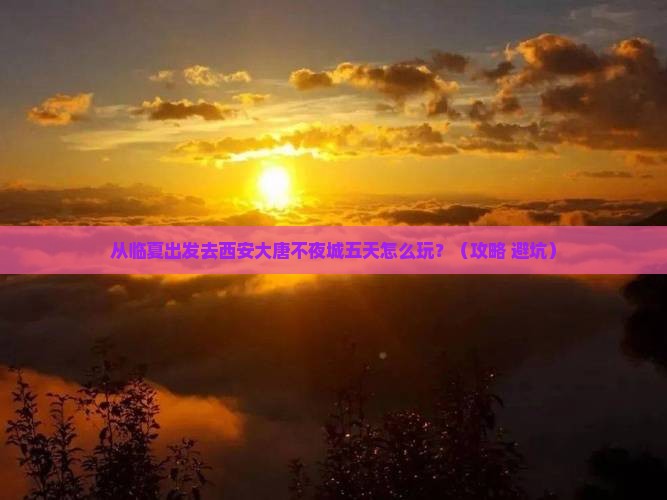 临夏去西安大唐不夜城五日游