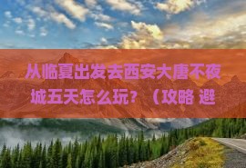 临夏去西安大唐不夜城五日游