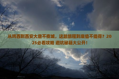 鸡西去西安大唐不夜城旅游