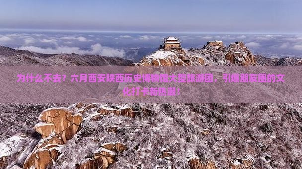 六月到西安陕西历史博物馆大型旅游团
