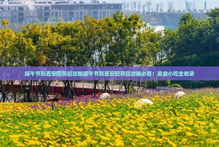 端午节到西安回民街攻略