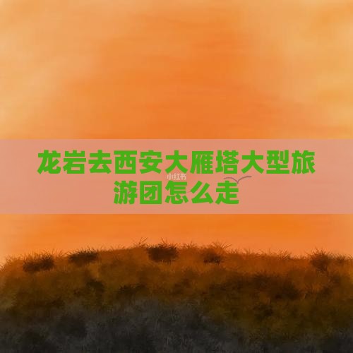 龙岩去西安大雁塔大型旅游团