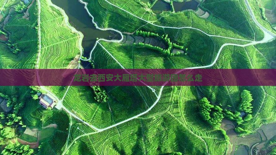 龙岩去西安大雁塔大型旅游团
