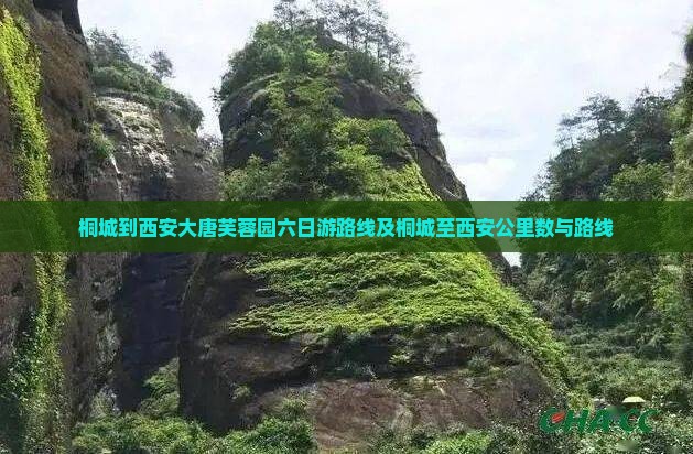 桐城到西安大唐芙蓉园六日游