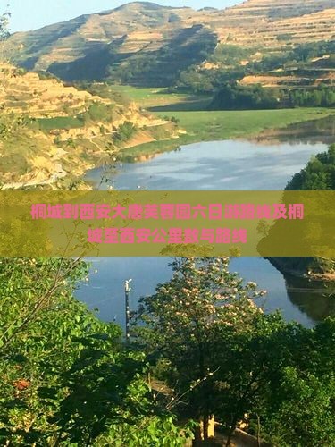桐城到西安大唐芙蓉园六日游