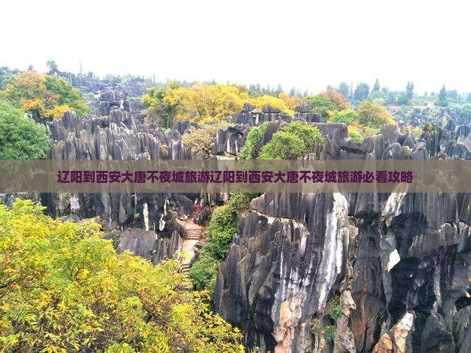 辽阳到西安大唐不夜城旅游