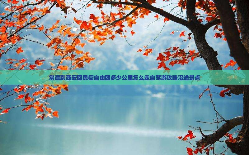 常德到西安回民街自由团