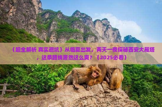 临夏到西安大雁塔二日游