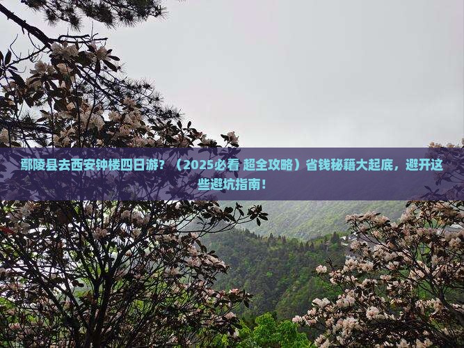 鄢陵县去西安钟楼四日游