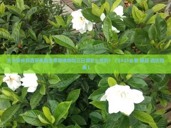 大兴安岭到西安秦始皇帝陵博物院三日游