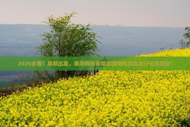 阜新去西安秦始皇帝陵博物院自由团