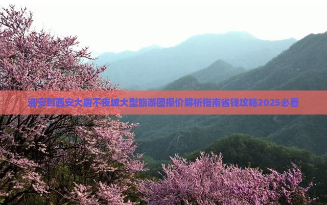 淮安到西安大唐不夜城大型旅游团