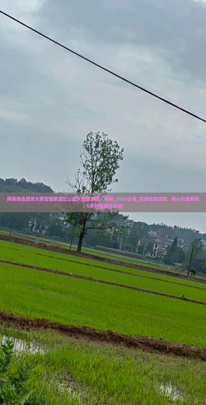 阿泰勒去西安大明宫国家遗址公园大型旅游团
