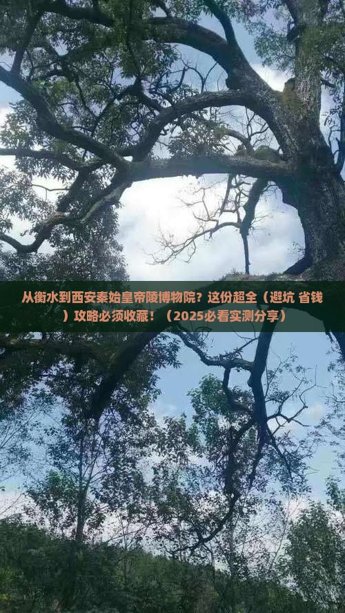 衡水到西安秦始皇帝陵博物院攻略