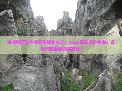 海北到西安大唐不夜城攻略