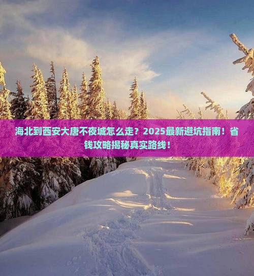 海北到西安大唐不夜城攻略