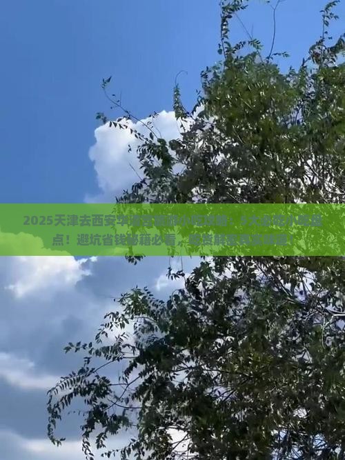 天津去西安华清宫旅游小吃