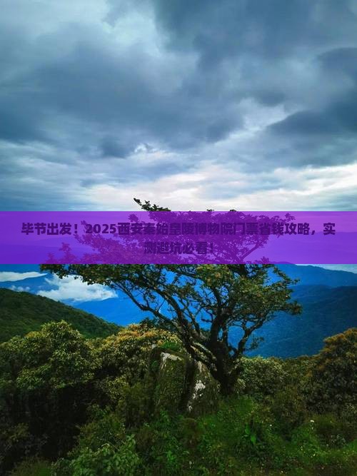 毕节到西安秦始皇帝陵博物院门票
