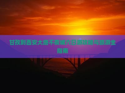 甘孜去西安大唐不夜城六日游