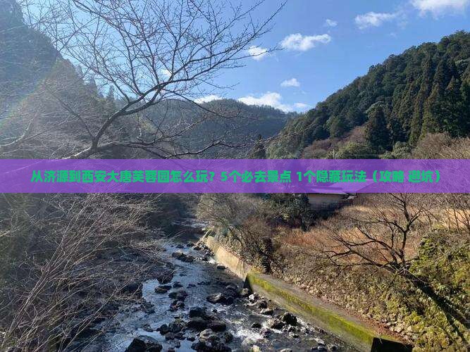 济源到西安大唐芙蓉园哪里玩 济源到西安大唐芙蓉园哪里玩