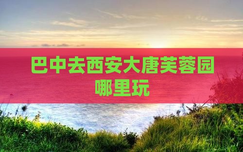 巴中去西安大唐芙蓉园哪里玩