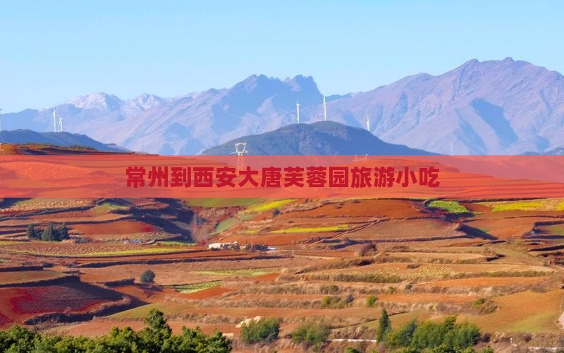 常州到西安大唐芙蓉园旅游小吃