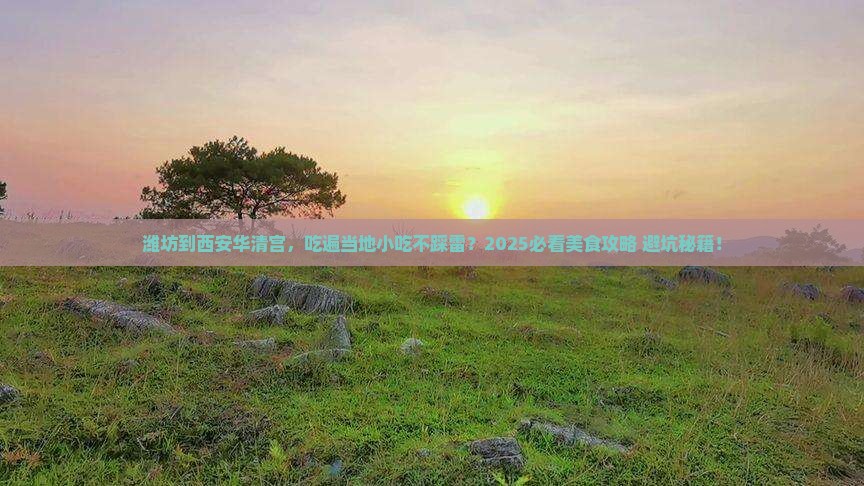 潍坊到西安华清宫旅游小吃