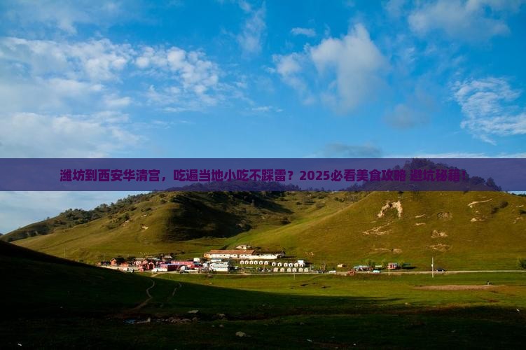 潍坊到西安华清宫旅游小吃