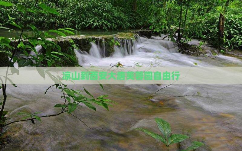 凉山到西安大唐芙蓉园自由行