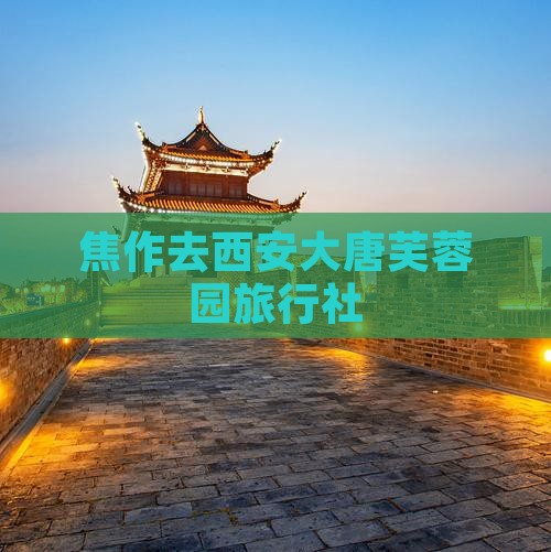 焦作去西安大唐芙蓉园旅行社
