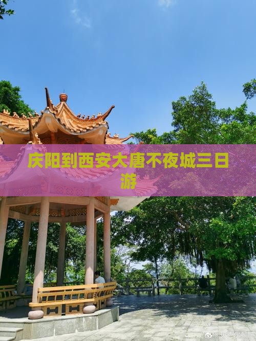 庆阳到西安大唐不夜城三日游