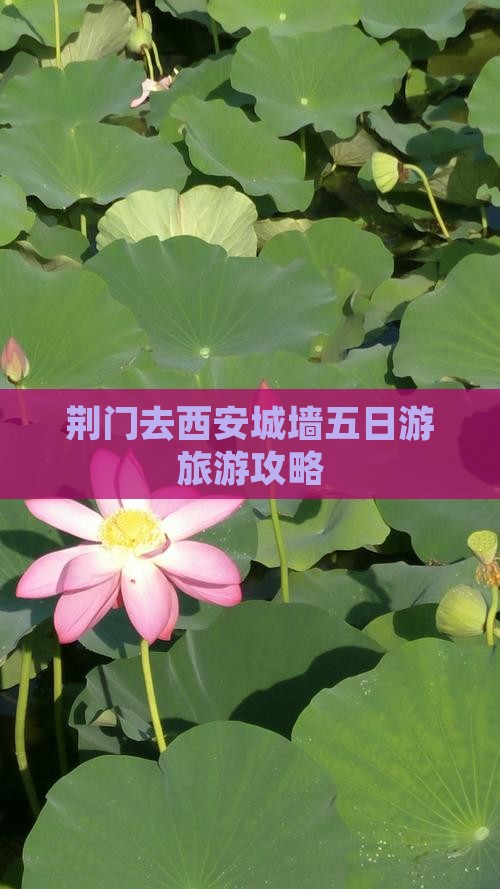 荆门去西安城墙五日游