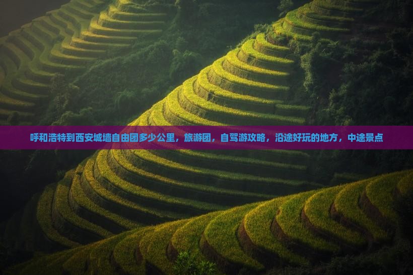 呼和浩特到西安城墙自由团
