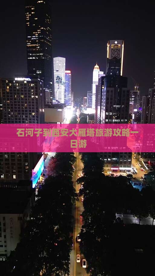 石河子到西安大雁塔一日游