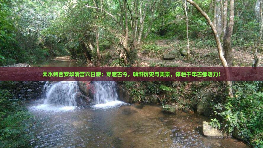 天水到西安华清宫六日游