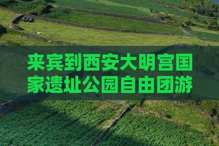来宾到西安大明宫国家遗址公园自由团