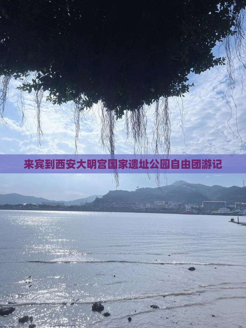 来宾到西安大明宫国家遗址公园自由团
