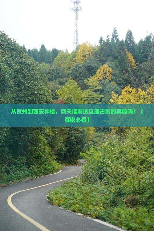 贺州到西安钟楼二日游