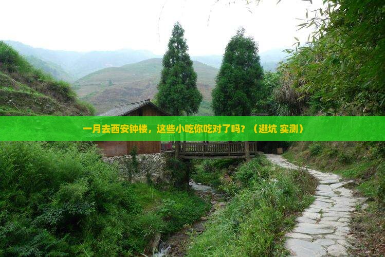 一月到西安钟楼旅游小吃
